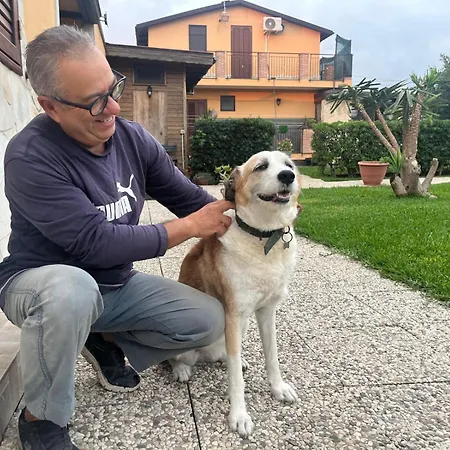 A Casa Dello Zio Villa *